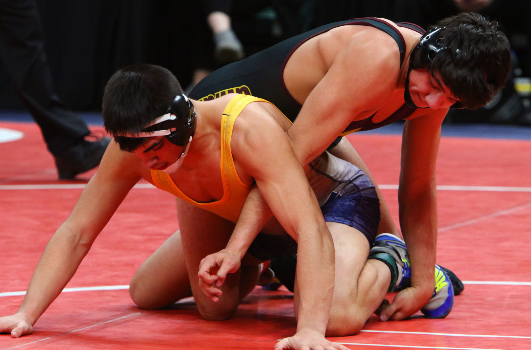 Gallery: Wrestling State Finals